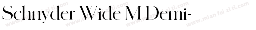 Schnyder Wide M Demi字体转换